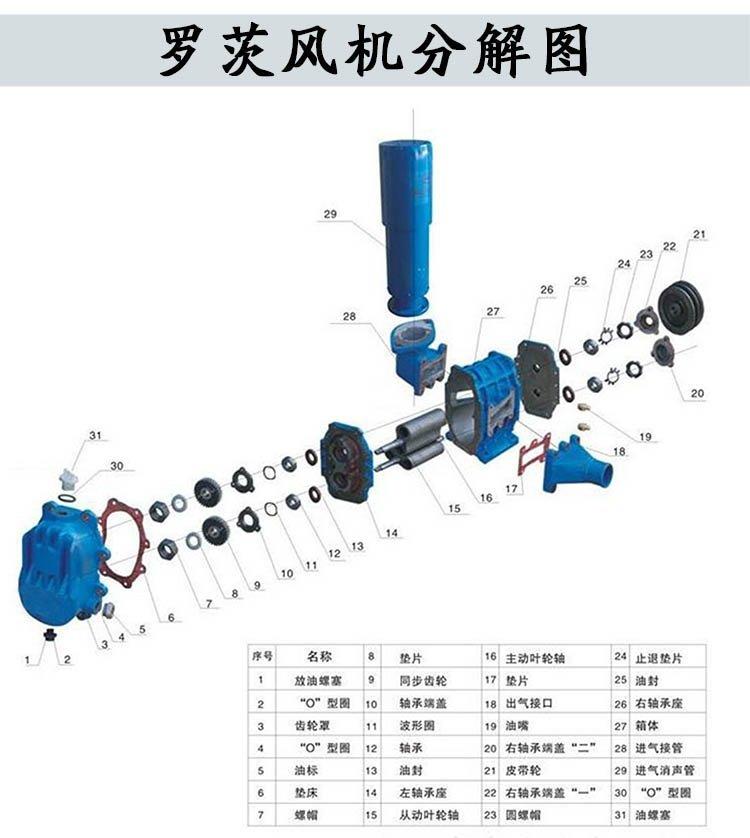 H系列高溫羅茨鼓風機
