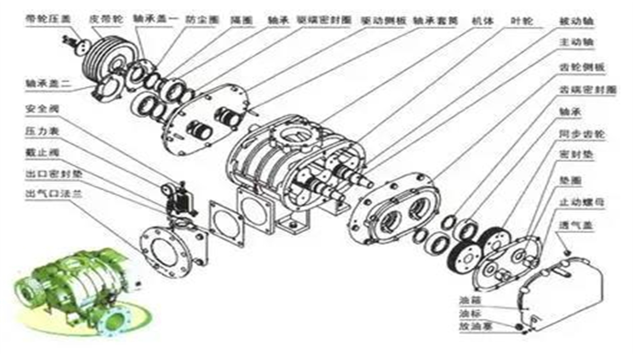 三葉羅茨鼓風(fēng)機(jī)型號(hào)